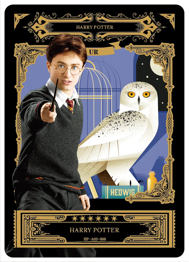 Harry Potter-Wizards' Collection Card- Eternal Edition