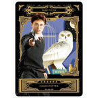 Harry Potter-Wizards' Collection Card- Eternal Edition